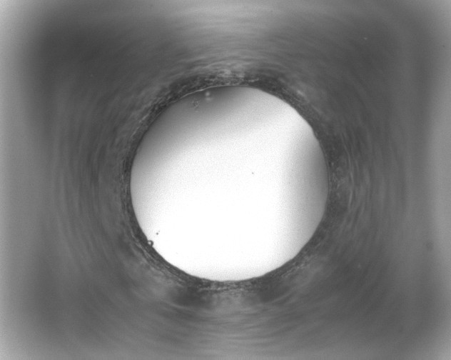X0000066080769200603101139
