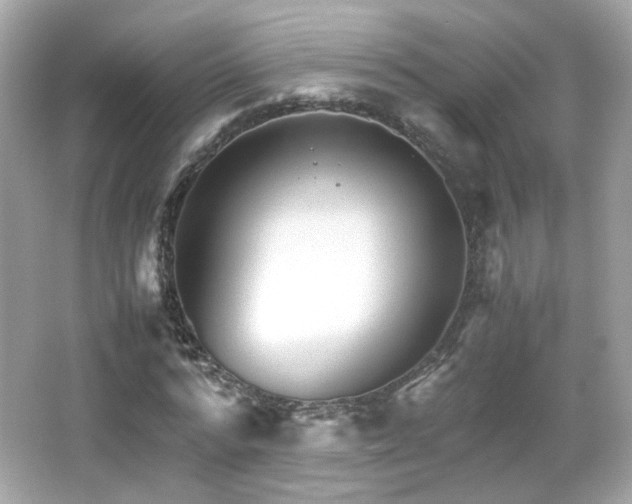 X0000066080776200603101139
