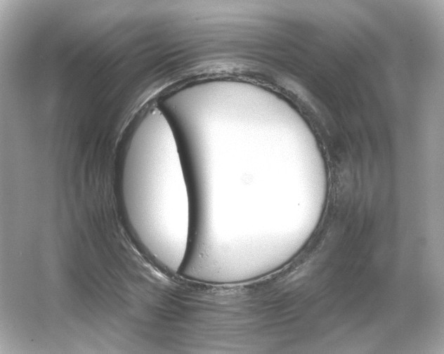 X0000066080778200603101139