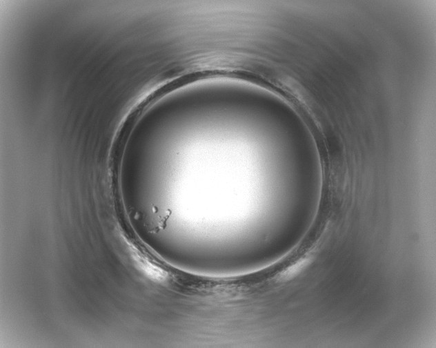 X0000066080779200603101139