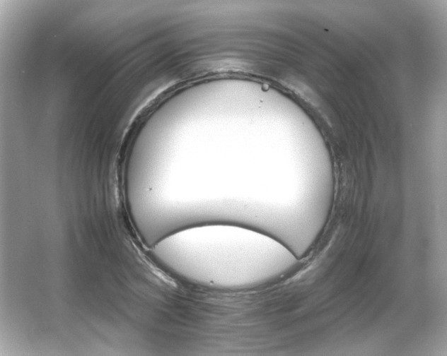 X0000066080782200603101139