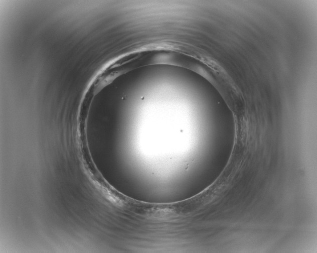 X0000066080784200603101139