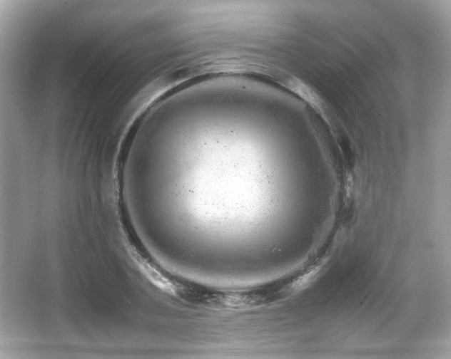 X0000066080787200603101139