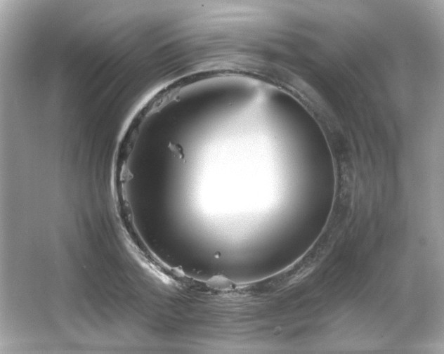 X0000066080788200603101139