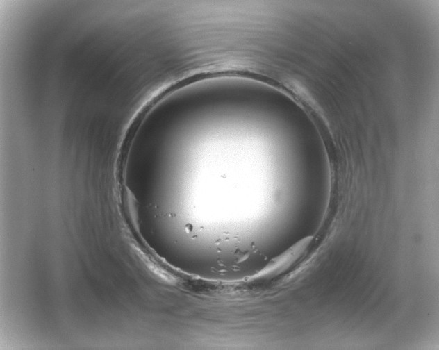 X0000066080789200603101139