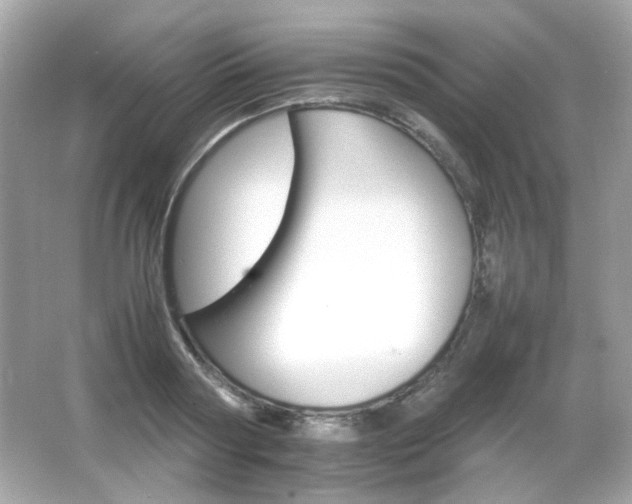 X0000066080794200603101139