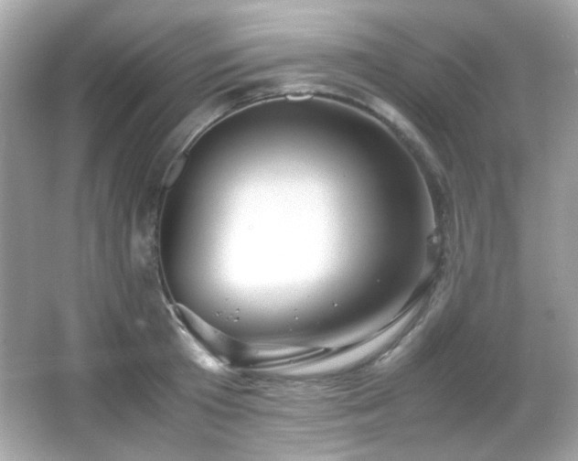 X0000066080801200603101139