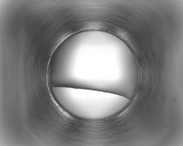 X0000066080802200603101139