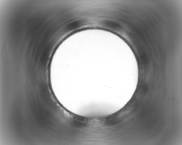 X0000066080807200603101138