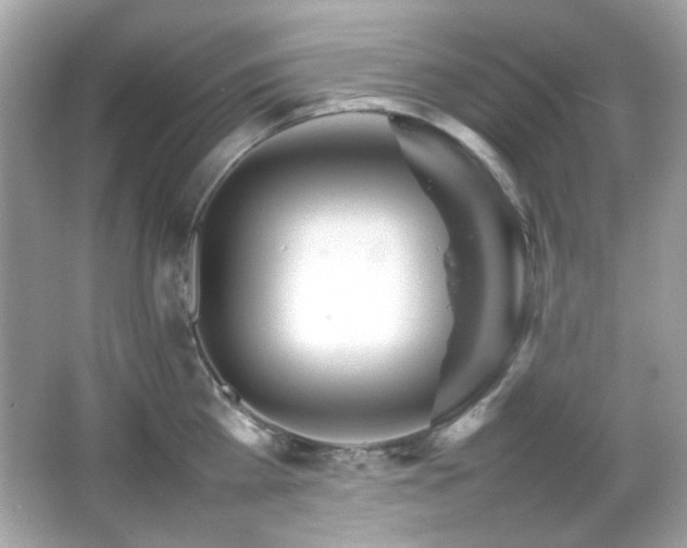 X0000066080809200603101138