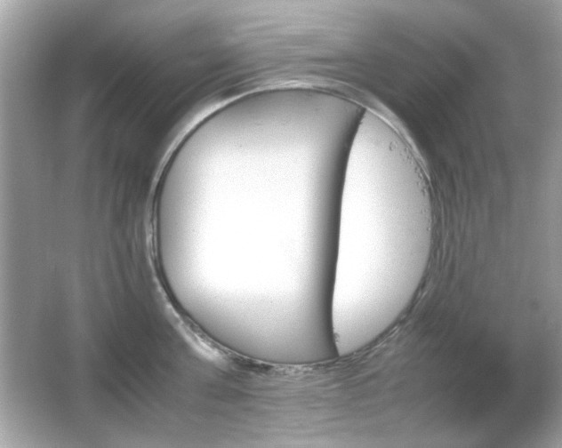 X0000066080811200603101138