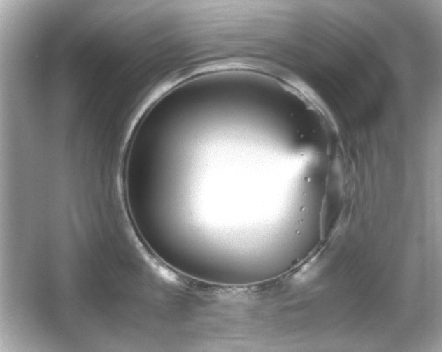 X0000066080813200603101138