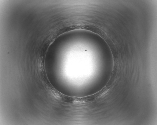 X0000066080818200603101138