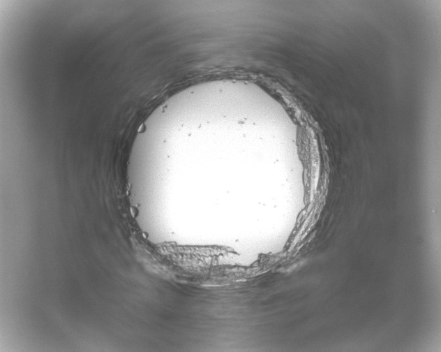 X0000066080820200603101138