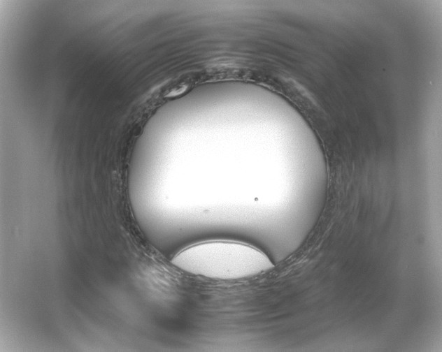 X0000066080821200603101138