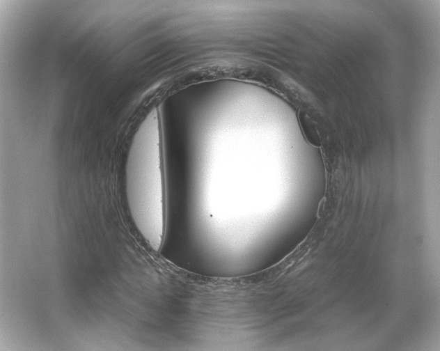 X0000066080822200603101138