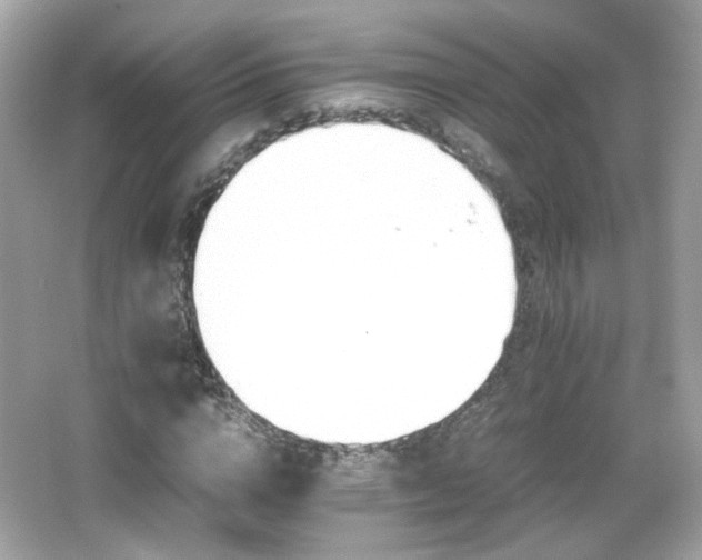 X0000066080824200603101138