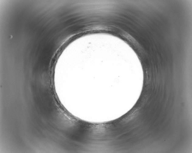X0000066080828200603101138
