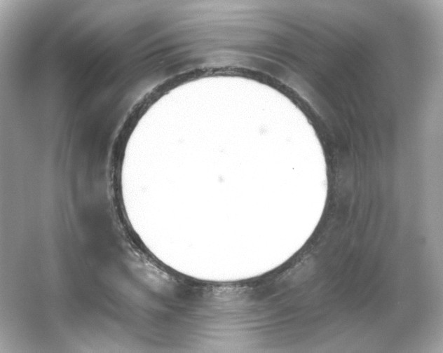 X0000066080832200603101138