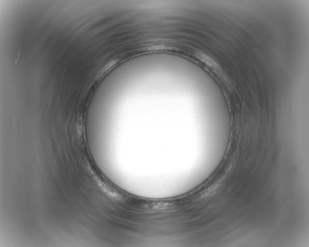 X0000066080841200603101138