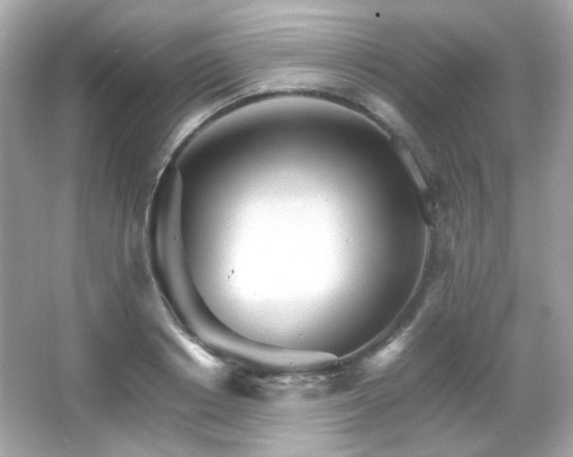 X0000066080842200603101138
