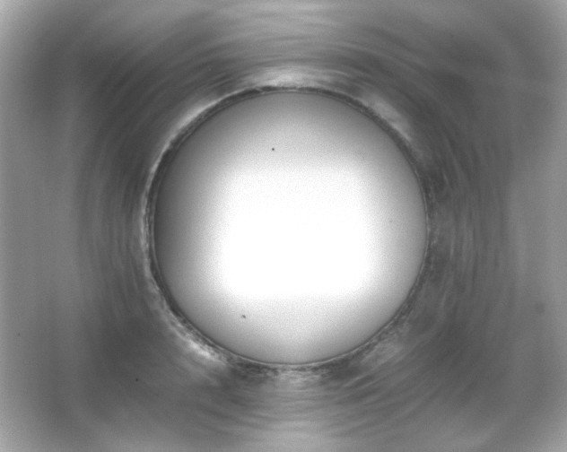 X0000066080848200603101138