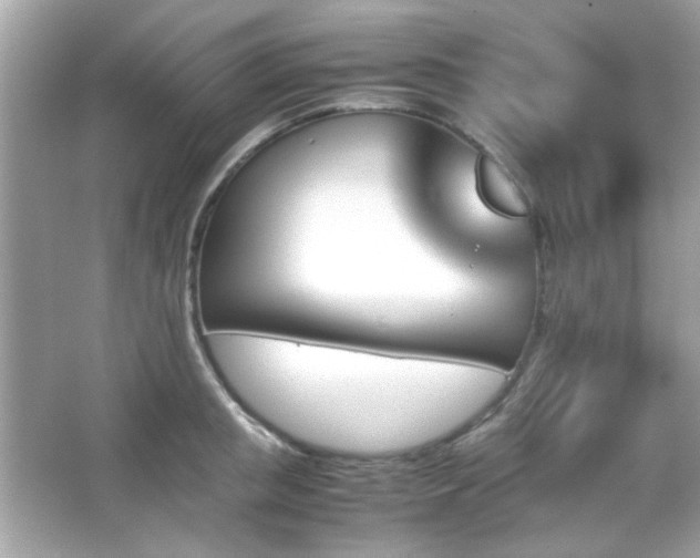 X0000066080853200603101138