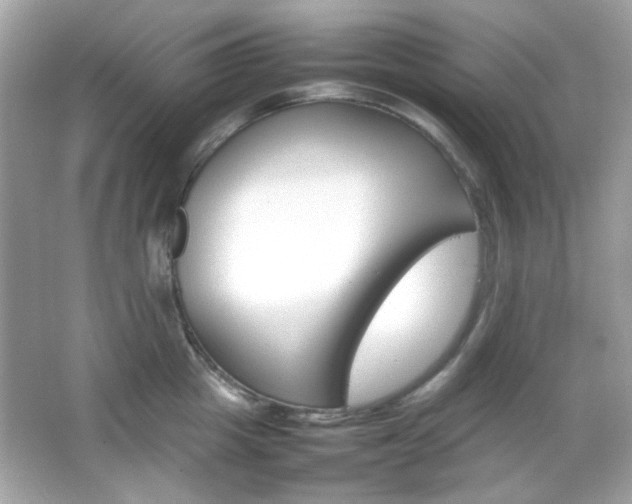 X0000066080857200603101138