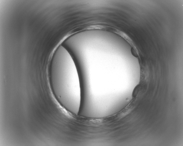 X0000066080859200603101138