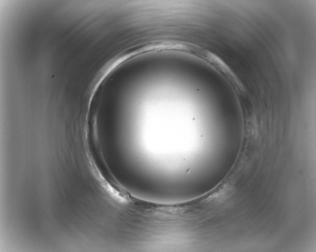 X0000066080860200603101138