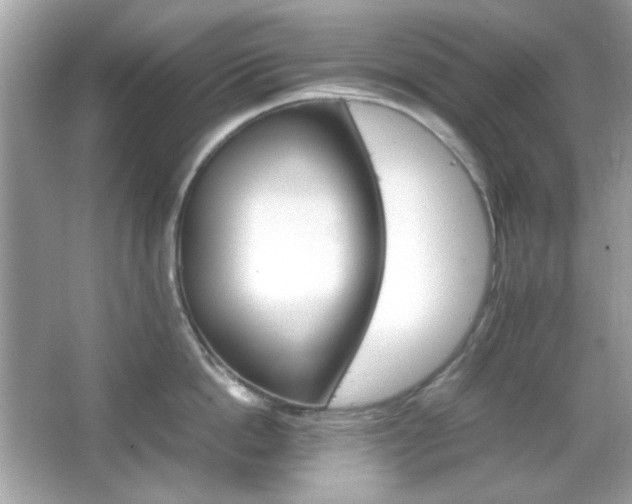 X0000066080862200603101138