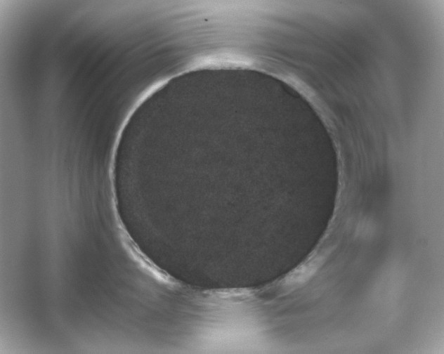 X0000066080864200603101138
