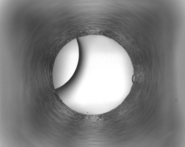 X0000066080866200603101137