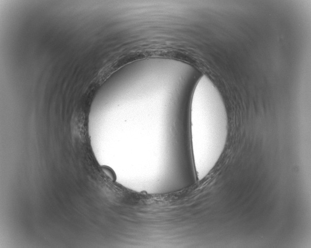 X0000066080867200603101137