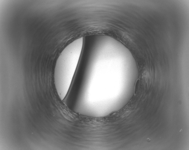 X0000066080868200603101137