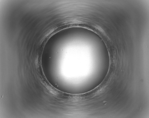 X0000066080873200603101137