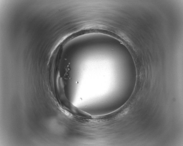 X0000066080877200603101137