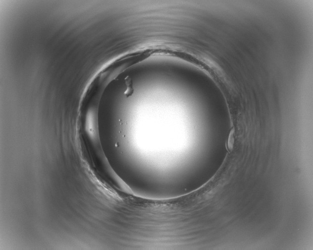 X0000066080880200603101137