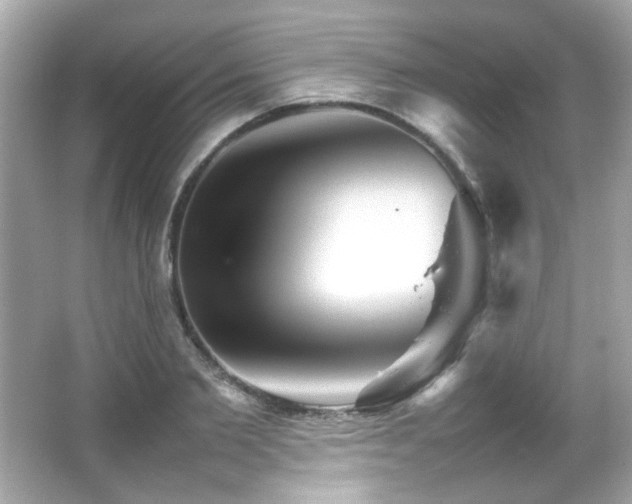 X0000066080885200603101137