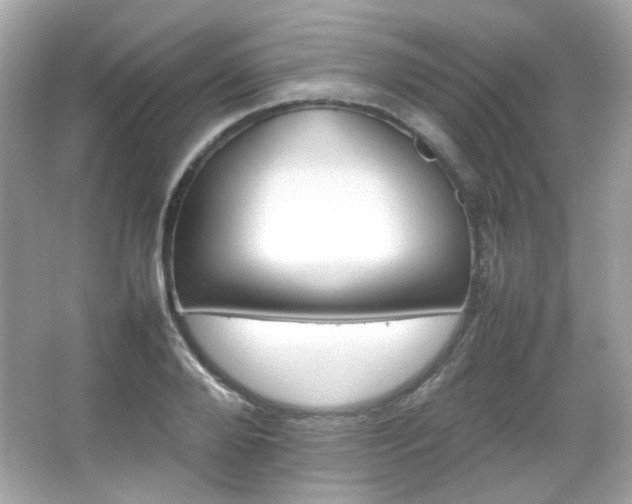 X0000066080888200603101137
