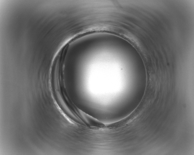 X0000066080894200603101137