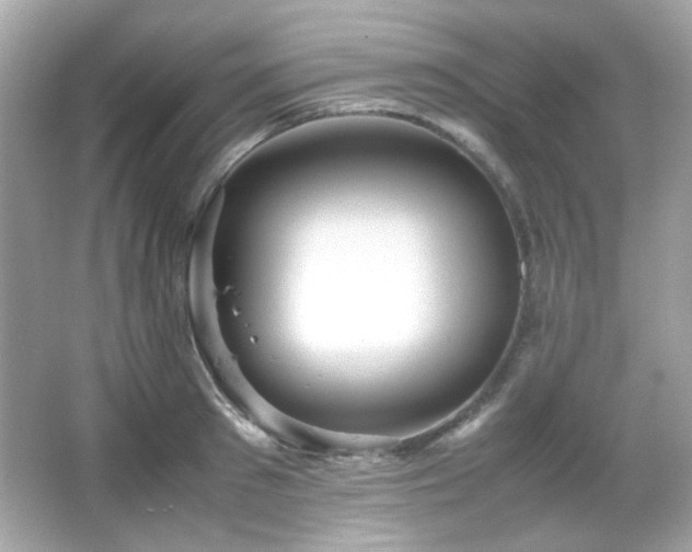 X0000066080897200603101137