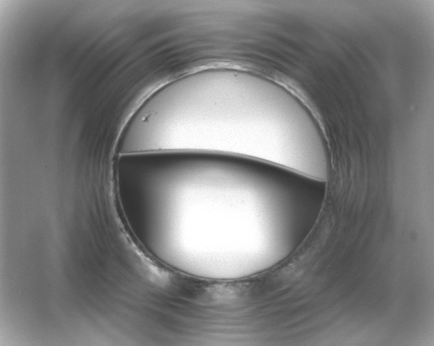 X0000066080898200603101137