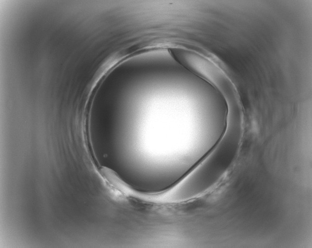 X0000066080909200603101137