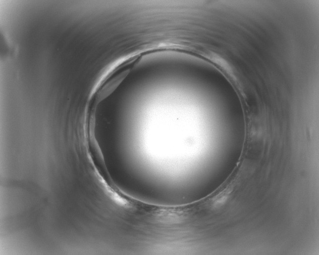 X0000066080910200603101137