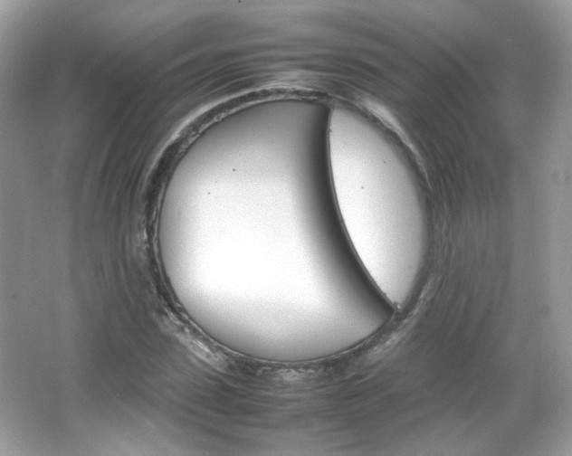 X0000066080923200603101136