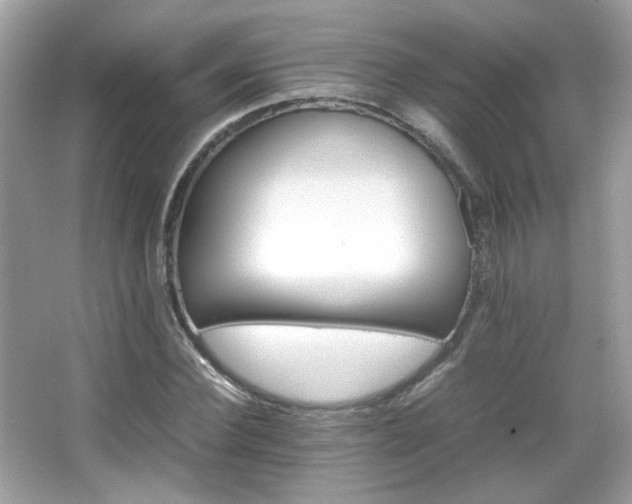 X0000066080924200603101136