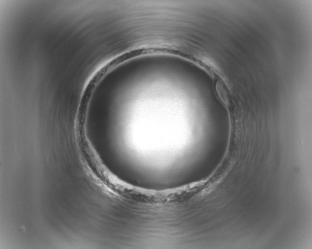 X0000066080928200603101136