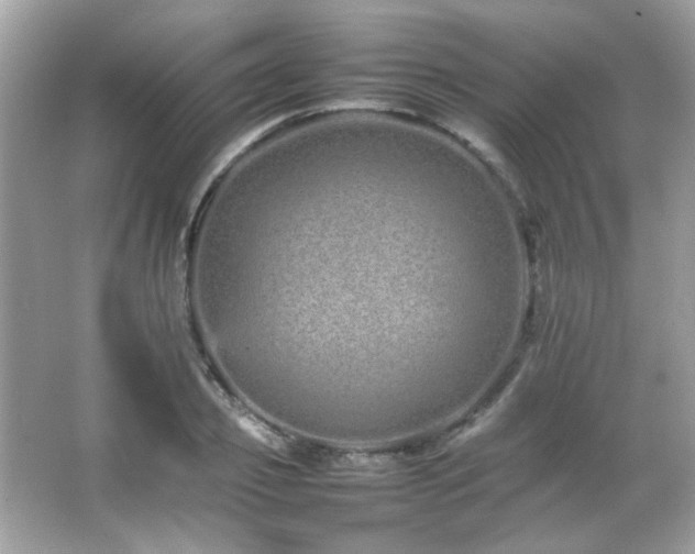 X0000066080933200603101136