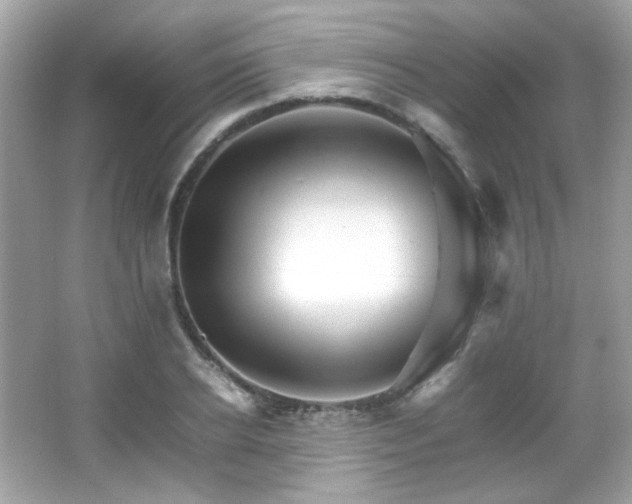 X0000066080934200603101136